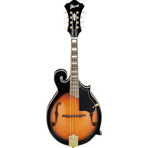 6 String Mandolin Guitar For Sale (2024 Update) - Remix Mag