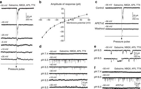 Voltage clamp analysis of the response to fluid pulse stimulation and... | Download Scientific ...