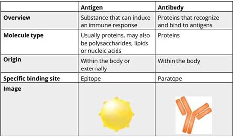 Covid 19 Rapid Antigen Test Kit