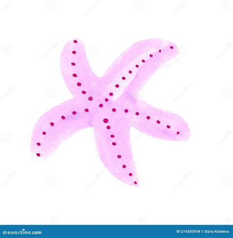 Pink Sea Star To Design and Decor Stock Illustration - Illustration of fresh, beach: 214205934