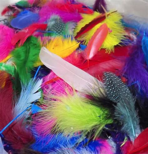 Feather selection of assorted craft feathers