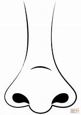 Nose Coloring Page sketch template