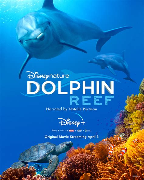 Dolphin Reef (2018)