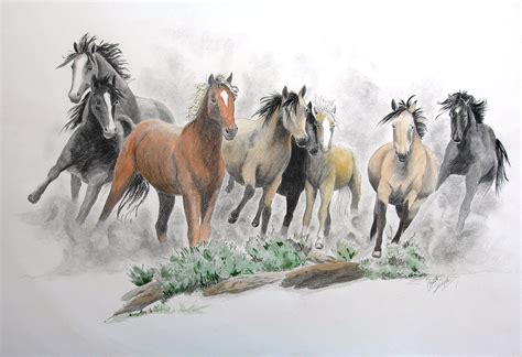 Wild Horse Drawing at GetDrawings | Free download