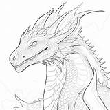 Premium Photo  Black And White coloring Picture Of A wyvern sketch template