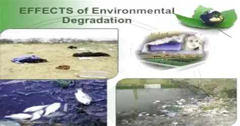 Effects of Environmental Degradation - Assignment Point