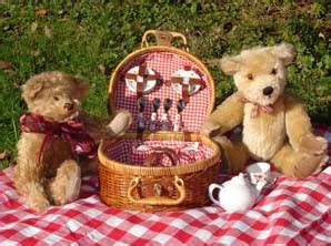 Picnic Party: Teddy Bear Picnic Party