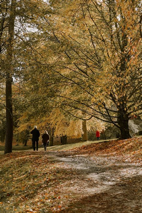 Autumn at Winkworth Arboretum - The Simple Explorer blog — Tanya Arya