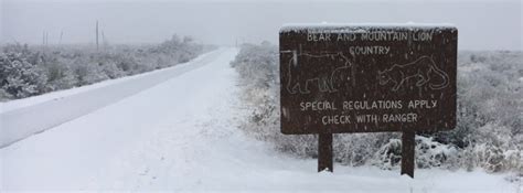 Snow is falling in Houston, TX, last measurable snow there was 8 years ago - The Watchers