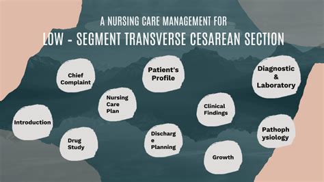 LOW – SEGMENT TRANSVERSE CESAREAN SECTION by Nicole Joaquin on Prezi