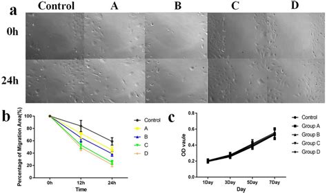 Cell migration experiment. (a)The effect of different groups on the ...