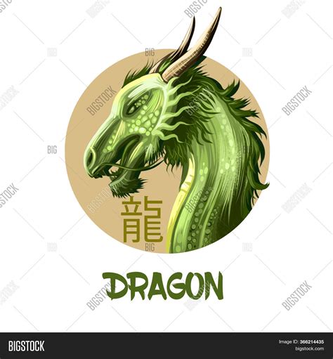 Chinese Water Dragon Zodiac