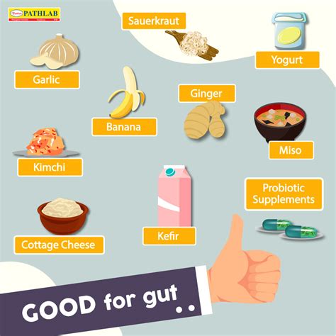 10 Good Foods For Your Gut