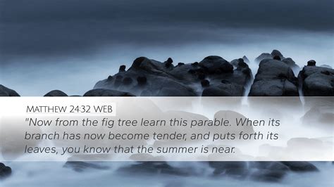 Matthew 24:32 WEB Desktop Wallpaper - "Now from the fig tree learn this parable. When