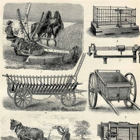 Pin by Carla Tevis on antique tools | Farm tools and equipment ...