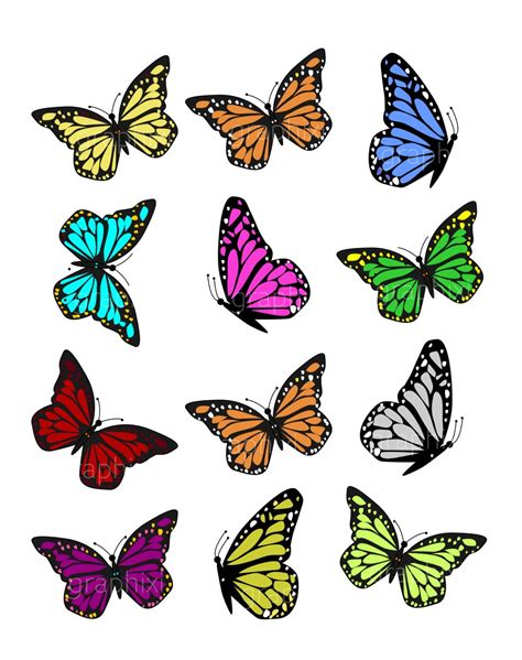 Clipart Butterflies ColorfulButterfly clipart commercial | Etsy