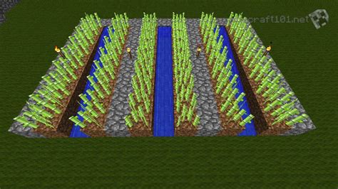 Minecraft Guide: Farming Sugar Cane