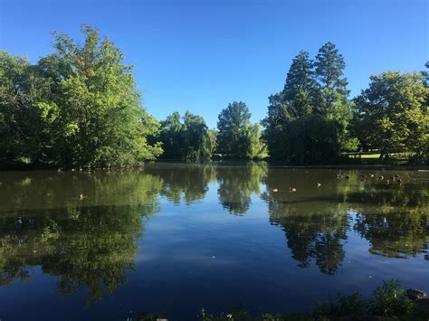 Nice photo I got of the Duck Pond this summer : r/VirginiaTech