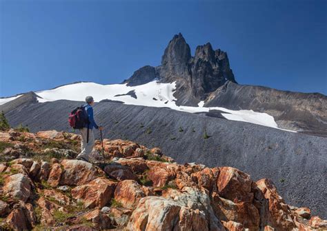 The Best Garibaldi Provincial Park Tours & Tickets 2021 - Whistler | Viator