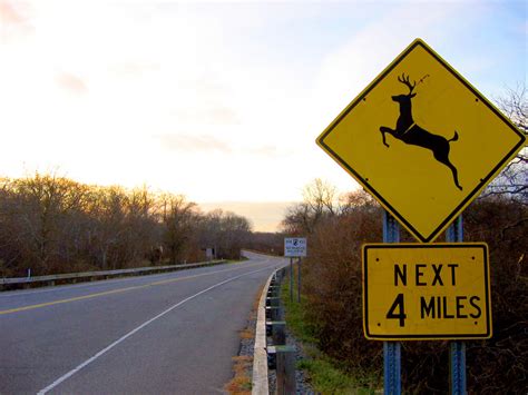 Deer Crossing Sign: What Does it Mean?