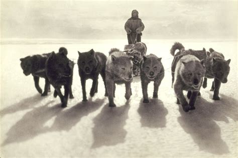 37 Photographs Documenting the Heroic Age of Antarctic Exploration