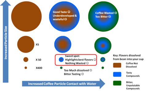 How to Avoid Bitter Coffee and Why it Exists in the First Place – a scientific look at brewing ...