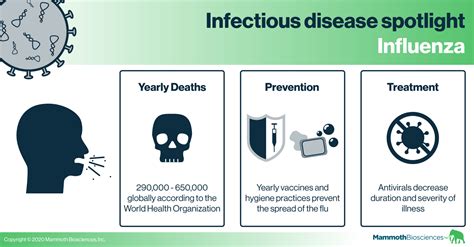 Infectious disease spotlight: Influenza - Mammoth Biosciences