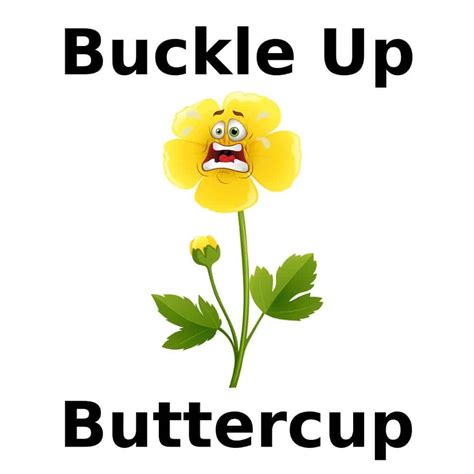 Buckle Up Buttercup Mug | Dobrador Shopateria