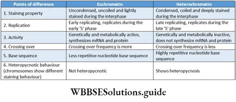 Nucleoplasm - Function, Components Notes - WBBSE Solutions