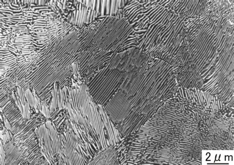 Cementite Microstructure