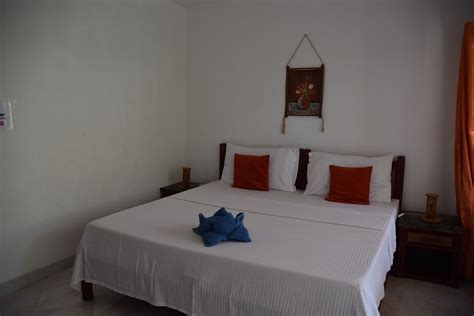 Alona Vida Beach Resort Rooms: Pictures & Reviews - Tripadvisor