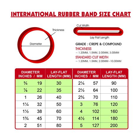 rubber band size chart Esselte rubber band size chart