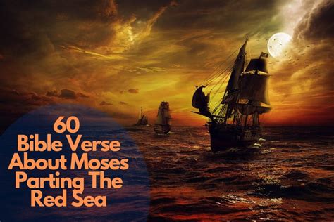 60 Amazing Bible Verse About Moses Parting The Red Sea – Bible Verses of the day