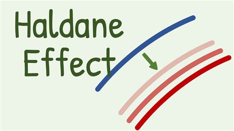 Haldane Effect in Transport of Carbon Dioxide - YouTube