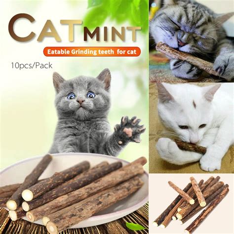 10pcs Pure Natural Catnip Pet Cat Molar Toothpaste Stick Cat Cleaning Teeth Teeth Cat Snacks ...