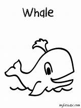 Coloring Pages Whale sketch template