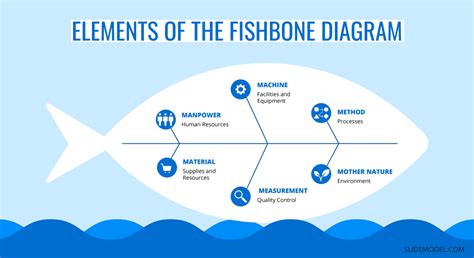 Analyzing Problems with the Fishbone Diagram