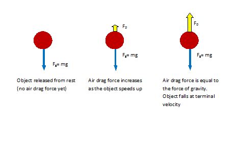 Physics Equation For Terminal Velocity - Tessshebaylo