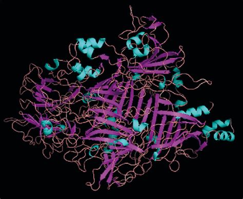 The 3D structure of the alpha toxin (687-2178 residues) model... | Download Scientific Diagram