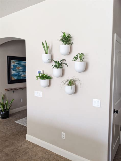 Indoor Living Wall Planters