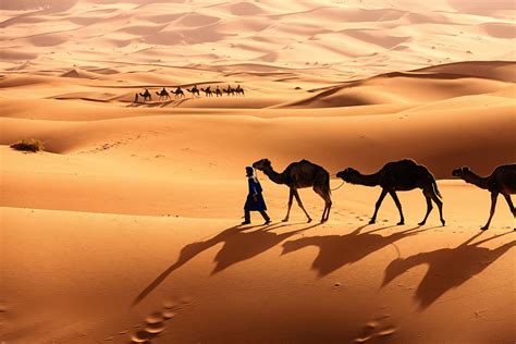 Learn About the Sahara Desert