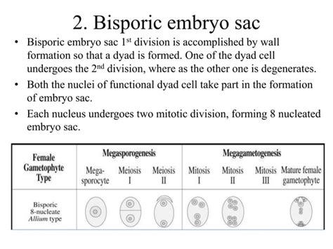 Types of embryo sac | PPT