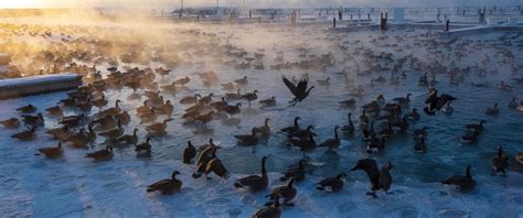 What is a 'frost quake'? Explaining the weather phenomenon - ABC News