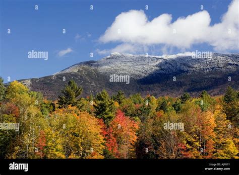 Fall foliage color with frost and snow on the summit of Mt Stock Photo, Royalty Free Image ...