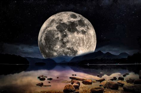 Free Moonlight Cliparts, Download Free Moonlight Cliparts png images ...