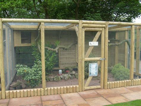 full (1600×1200) Chicken Coop Run, Chicken Garden, Backyard Chicken Coops, Chicken Diy, Chickens ...