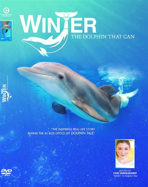 Winter, the Dolphin That Can (2013) - IMDb