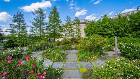 10 Botanic Gardens You Can't Miss in the U.S. | The Discoverer