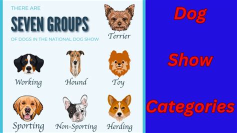 Unveiling the World of Dog Show Competition Categories ...