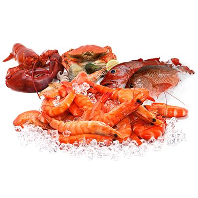 Frozen Seafood – AWA Group